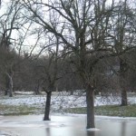 Hochwasser auf der Streuobstwiese
