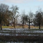 winter2011b