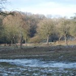 winter2011c