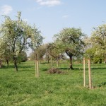 DSC_5178s