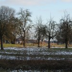 DSC_5095