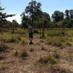 Hochwasser Streuobstwiese 06-2013 Berõumung SMSeV (18)