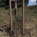 Hochwasser Streuobstwiese 06-2013 Berõumung SMSeV (24)