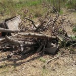 Hochwasser Streuobstwiese 06-2013 Berõumung SMSeV (25)