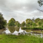 Hochwasser Streuobstwiese 06-2013 SMSeV (1)
