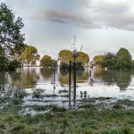 Hochwasser Streuobstwiese 06-2013 SMSeV (2)