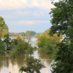 Hochwasser Streuobstwiese 06-2013 SMSeV (5)