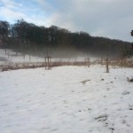 IMG_20170204_090114